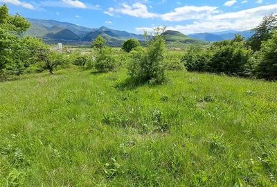 Teren  de vanzare la liziera padurii in Talmaciu - 3