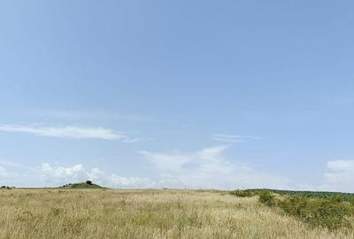 Teren agricol extravilan de 581 mp, în Exterior Nord - 3