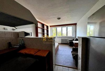 Apartament cu 2 camere decomandat în Nicolina - 5