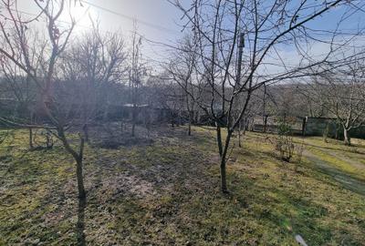 Casă individuală cu 4 camere cu Teren 1523 Mp în Cărbunești - 4