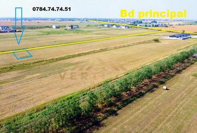 Teren cu gaz si curent la lot - com Berceni - 3