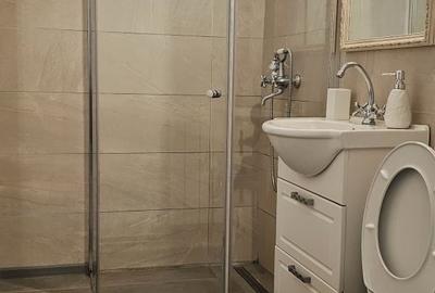 Apartament cu 3 camere decomandat în Gheorgheni - 10