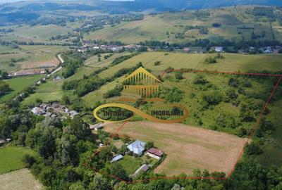 Casa batraneasca cu 2ha de teren de vanzare in sat Balaia / Bacau