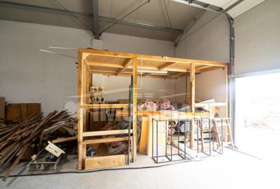 Spațiu comercial, de 560 mp, în Remetea Mare - 10