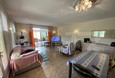 Casa familiala, suprafata de 133 mp, cu gradina de 4700 mp - 14