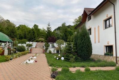 Domeniu de vanzare, Baile Govora(Pausesti-Otasau) cu teren de 20875mp - 4