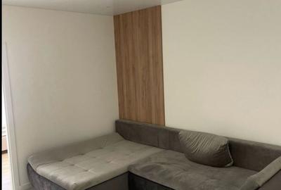 Apartament cu 2 camere semidecomandat în Aurel Vlaicu - 1