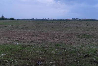 Spațiu comercial, în Balotești - 1