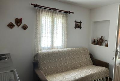 Casa de vacanta , zona Soarecului , Marginea - 20