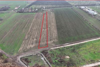 Teren Construcții intravilan de 7630 mp, în Frumușani - 5