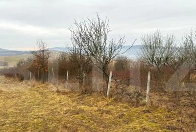 Teren de 2900 mp, în Central - 5