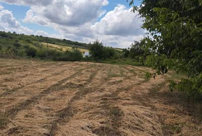 Teren de 6939 mp, în Exterior Vest - 3