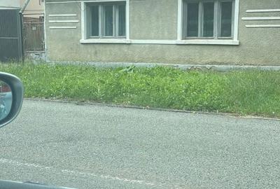 Casă cu 2 camere în Dumbrăvița - 1