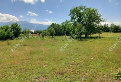Teren intravilan 5000 mp pe Valea Avrigului, Sibiu - 8