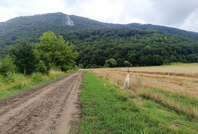 Teren Construcții intravilan de 16500 mp, în Bartolomeu - 2