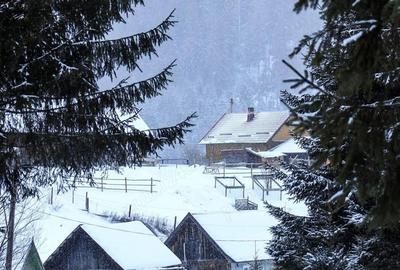 Casă cu Teren 12000 Mp în Cârlibaba - 1