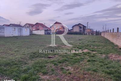 Spațiu comercial, în Girișu de Criș - 3