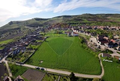 Teren agricol intravilan de 7342 mp, în Alma - 6