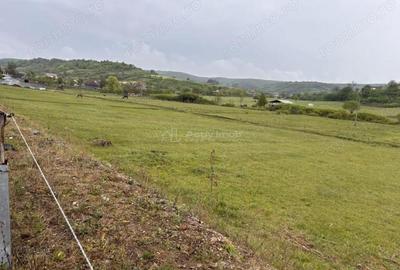 Teren de 2145 mp, în Hidiș - 16