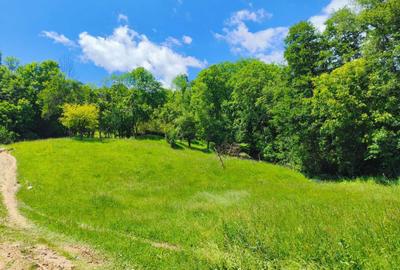 Spațiu comercial, în Nucșoara - 8