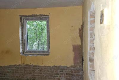 Casă cu 3 camere cu Teren 5513 Mp în Bratia din Deal - 2