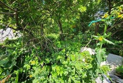 Casă cu 2 camere cu Teren 723 Mp în Complex Studențesc - 5