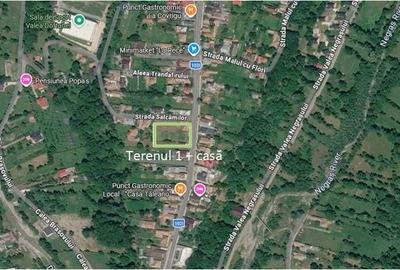 Teren de 24334 mp, în Secăria - 2
