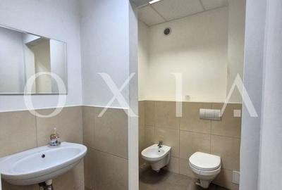 AX1153 Elisabetin, Bulevardul 16 Deccembrie 1989, Spatiu Birou - 4