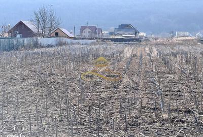 Spațiu comercial, în Hemeiuș - 2