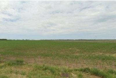 Teren de 1200 mp, în Pogoanele - 14