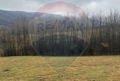 Teren Construcții intravilan de 7135 mp, în Negreni - 2