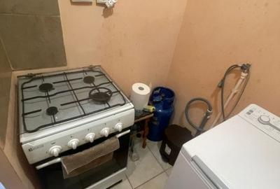 Garsonieră semidecomandată, mobilată în Valea Rosie - 10