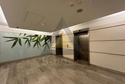 INCHIRIERE BIROU INDIVIDUAL - BUCURESTI NORD - 9