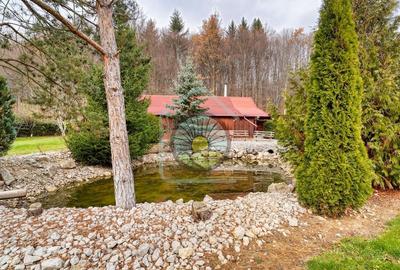 REZERVAT!!! CASA DE VACANTA SI TEREN 3100MP- BRASOV/CODLEA-GEAMANA - 11