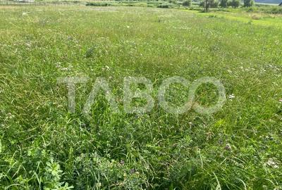 Teren intravilan 3450 mp Boita, 35 m deschidere, la 700 m de A1 - 1