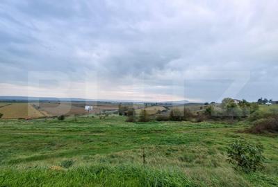 Parcele intravilane cu suprafata cuprinsa intre 708 - 768 mp, zona Teius - 3