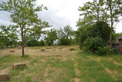 Casă cu 5 camere cu Teren 1447 Mp în Surdila-Greci - 6