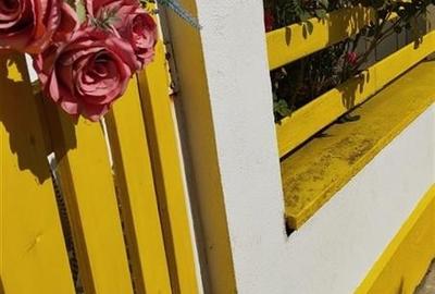 Vila de vanzare cu iesire (ponton) la lacul Snagov, in Izvorani - 25