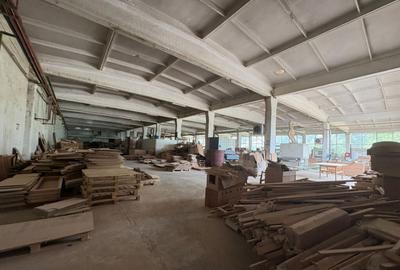 Spațiu comercial, de 5,540 mp, în Primăverii - 13