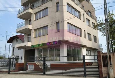 Proprietate specială, de 800 mp, în Theodor Pallady - 55