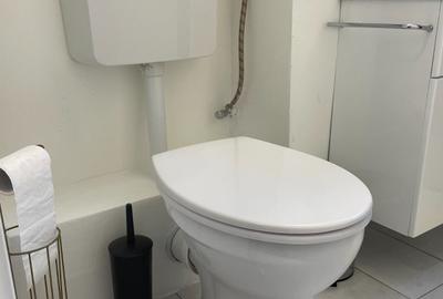 Apartament cu 2 camere semidecomandat, mobilat în Take Ionescu - 8