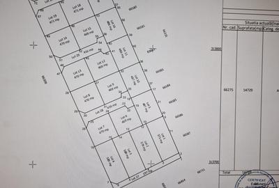 Teren de 345 mp, în Berceni