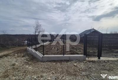 Teren în Albota - 3