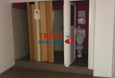 Spatiu comercial de inchiriat 350 mp Zona Bulevardul Transilvaniei - 11