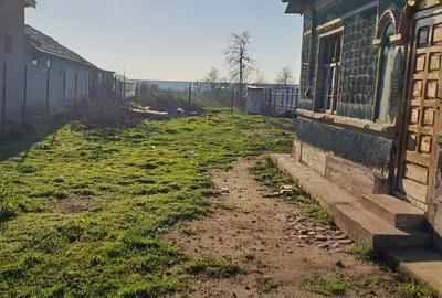 Casă în Vadu Pașii - 2