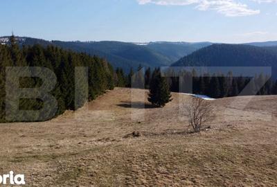 Teren de 10909 mp, în Râșca - 5