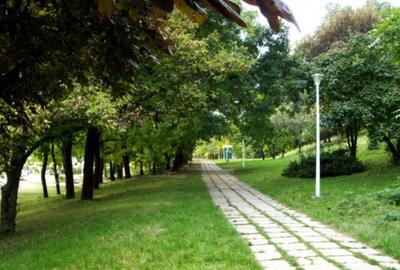 Apartament cu 2 camere semidecomandat în Floreasca - 2