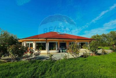 De vanzare Casa 1 nivel, teren 2000mp Sanmartin - 3