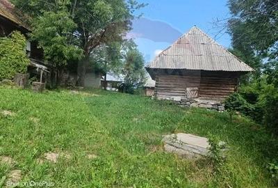 Casă cu 3 camere cu Teren 5472 Mp în Breb - 8