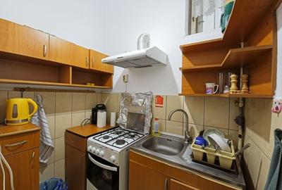 Casa 3 camere, intr-un imobil cu 2 apartamente, zona Parcului Central - 4